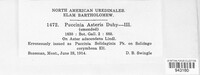 Puccinia asteris image